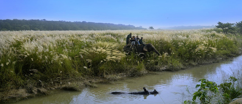 Jungle Sfari at Chitwan