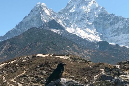 Ama Dablam Expedition 2025 - Makalu Adventure