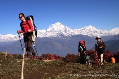 Ghorepani Poon hill trek 