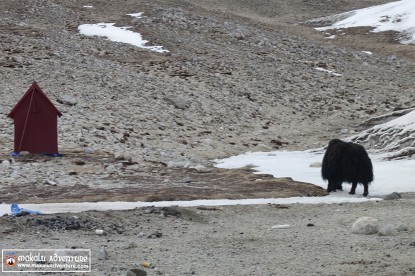 Cho Oyu Expedition (8,201m)