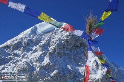 Cho Oyu Expedition (8,201m)