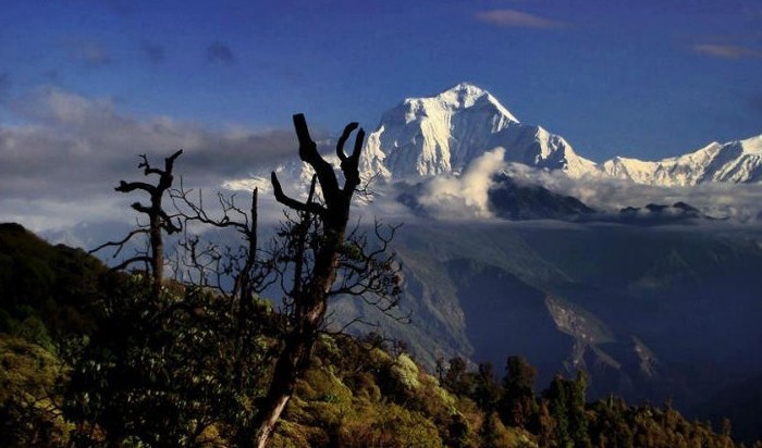 Dhaulagiri Expedition