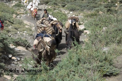 Dolpo to Mugu