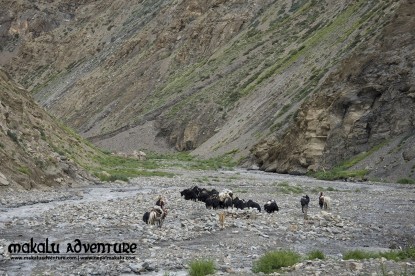 Dolpo to Mugu