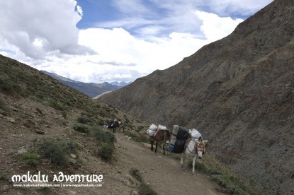 Dolpo to Mugu