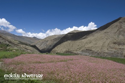 Dolpo to Mugu