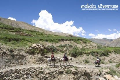 Dolpo to Mugu