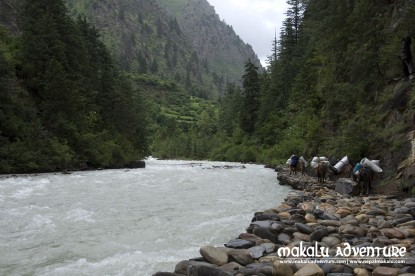 Dolpo Trek