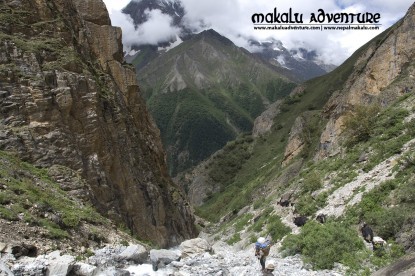 Dolpo Trek