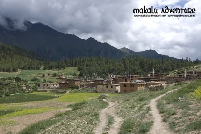 Dolpo Trek