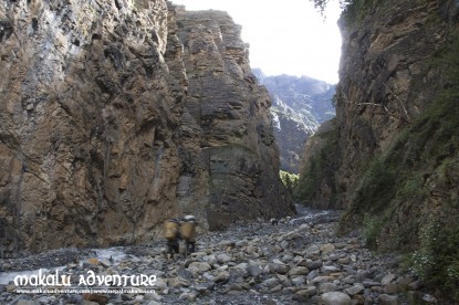 Dolpo Trek