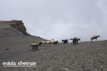 Dolpo Trek