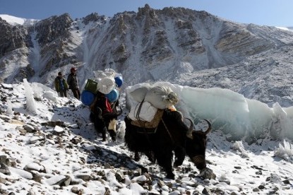 Everest Advanced Base Camp Trek