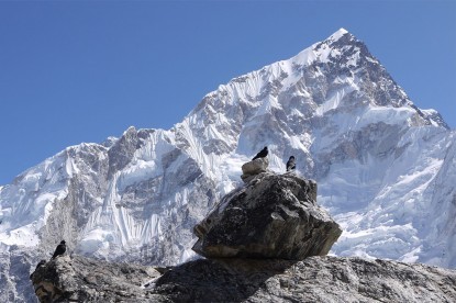 Everest Base Camp Trek - 16 Days