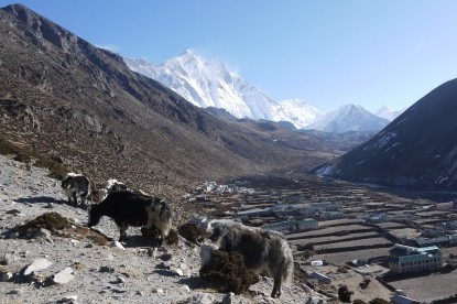 Everest Base Camp Trek - 18 Days