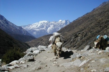 Jiri to Everest Base Camp