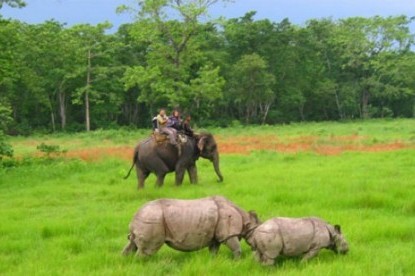 Elephant Safari at Chitwan National Park