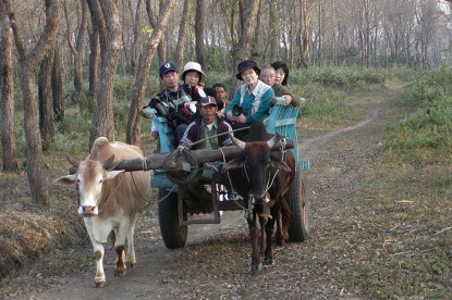 Kathmandu Pokhara Chitwan Tour