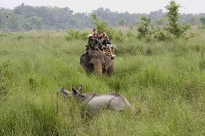 One Horned Rhinoceros at Chitwan National Park