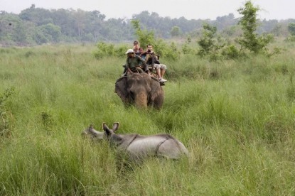 One Horned Rhinoceros at Chitwan National Park