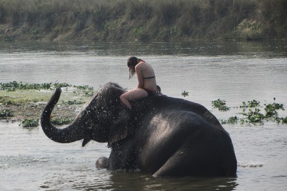 Elephant Bathing at Chiwan National Park