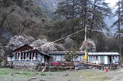 Langtang Trek & Tserko Ri