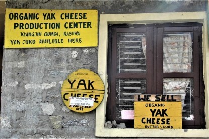 Organic Yak Cheese Production Center - Langtang