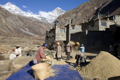 Limi Valley to Kailash Trek