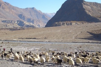 Annapurna  Circuit Trek