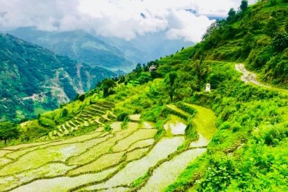 Machhapuchhre Base Camp Trek