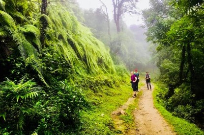 Machhapuchhre Base Camp Trek