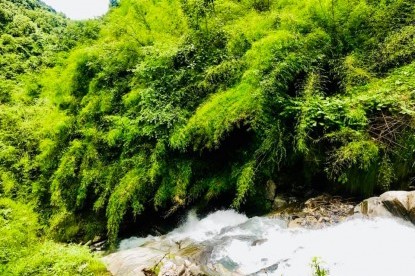 Machhapuchhre Base Camp Trek