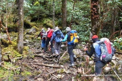 Makalu Base Camp Trek