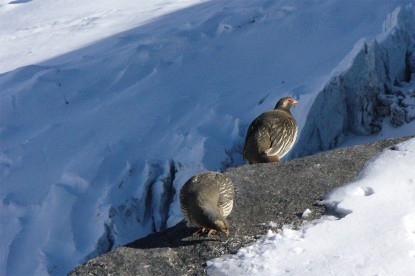 Mera Peak Climbing