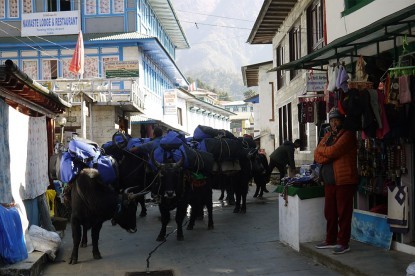 Namaste Lodge and Resort at Tenzin Hillary Airport