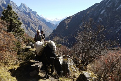 Mt. Parchamo Climbing Expedition