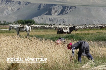 Mustang Saribung Trek