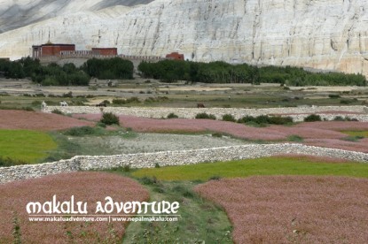 Mustang Saribung Trek