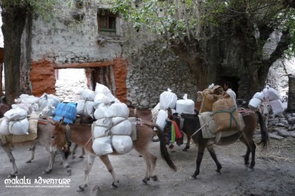 Upper Mustang Trekking