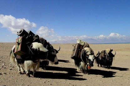 Nar Phu and Tilicho Lake Trek