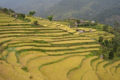 Ghorepani Poonhill Trek