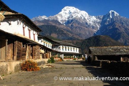 Ghorepani Poonhill Trek