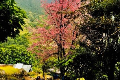 Ghorepani Poonhill Trek