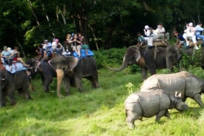 Wildlife and Jungle Safari