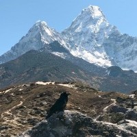 Ama Dablam Expedition 2025 - Makalu Adventure