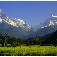 Beautiful view of Mount Machhapuchhare during Annapurna Base Camp Trek