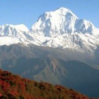 Beautiful view of Mount Annapurna during Annapurna Base Camp Trek