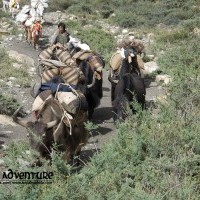 Dolpo to Mugu