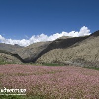 Dolpo to Mugu