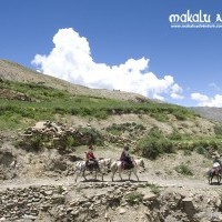 Dolpo to Mugu